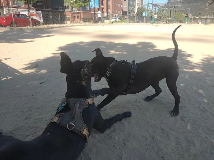 Rail Yard Dog Park 6