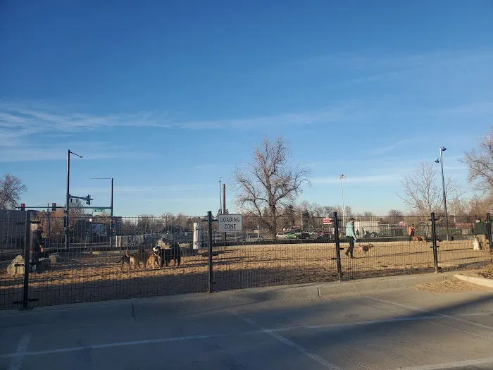Carla Madison Dog Park 2