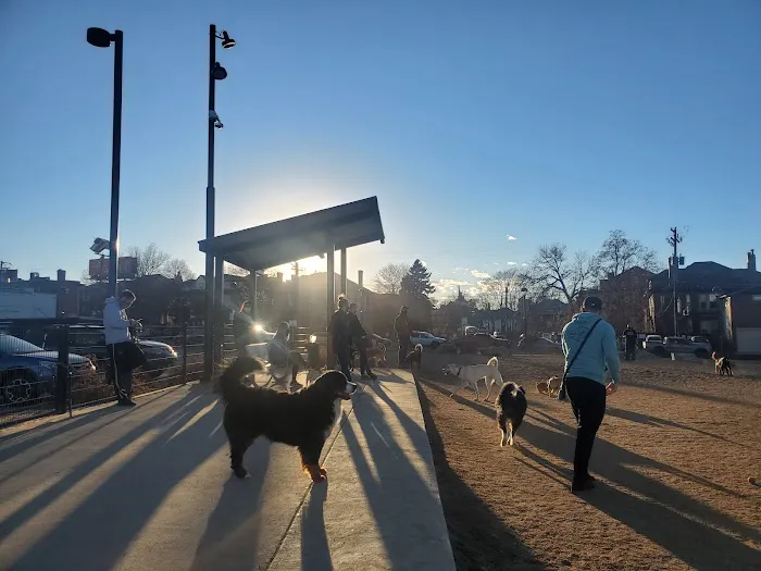 Carla Madison Dog Park 1