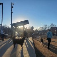 Carla Madison Dog Park ico
