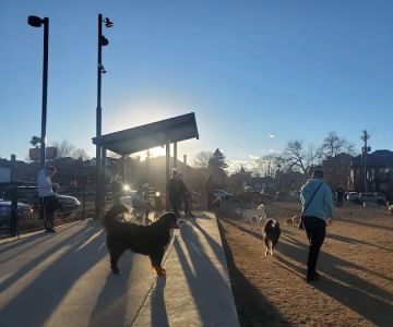 Carla Madison Dog Park