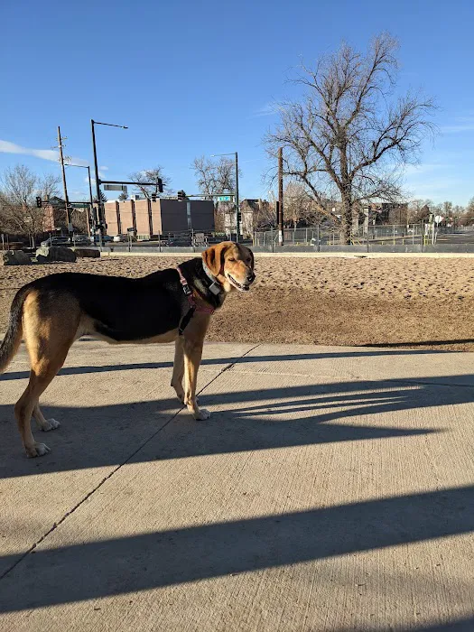 Carla Madison Dog Park 7