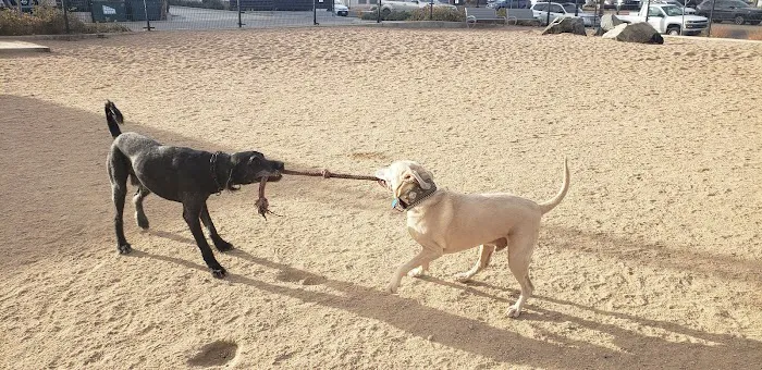 Carla Madison Dog Park 9