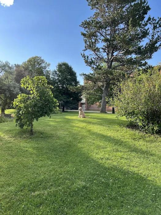 Fuller Dog Park 5