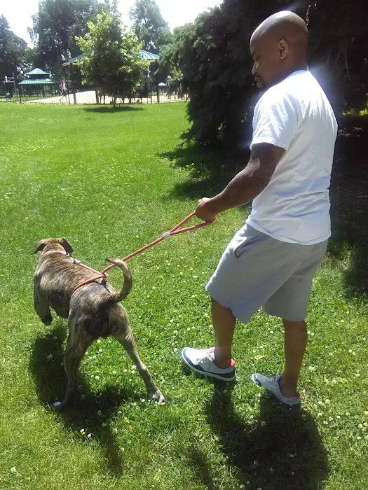 Fuller Dog Park 1