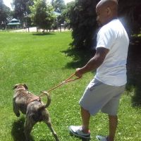Fuller Dog Park ico
