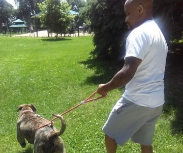 Fuller Dog Park