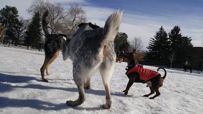 Fuller Dog Park 8