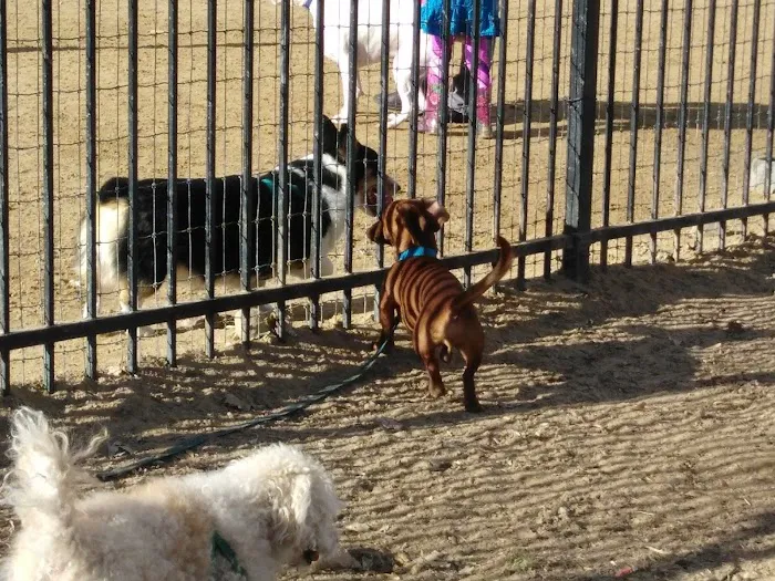 Fuller Dog Park 9