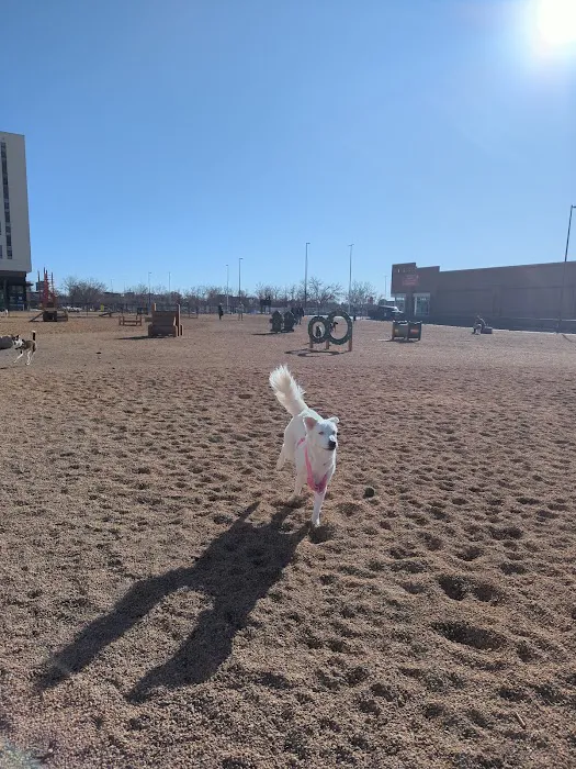 Broadway Bark. Dog park 1