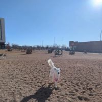 Broadway Bark. Dog park ico