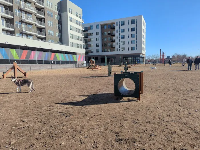 Broadway Bark. Dog park 10