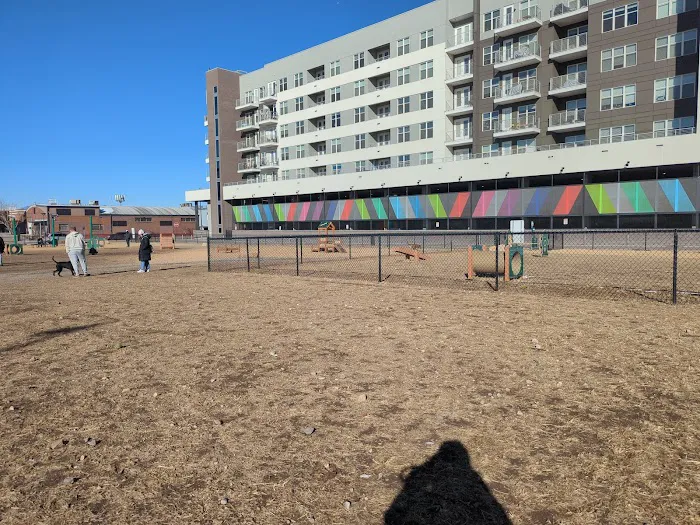 Broadway Bark. Dog park 4