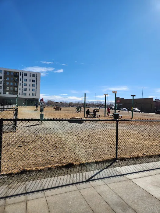 Broadway Bark. Dog park 8