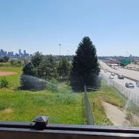 Barnum Dog Park ico