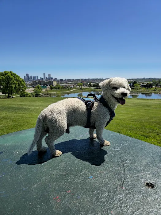 Barnum Dog Park 8