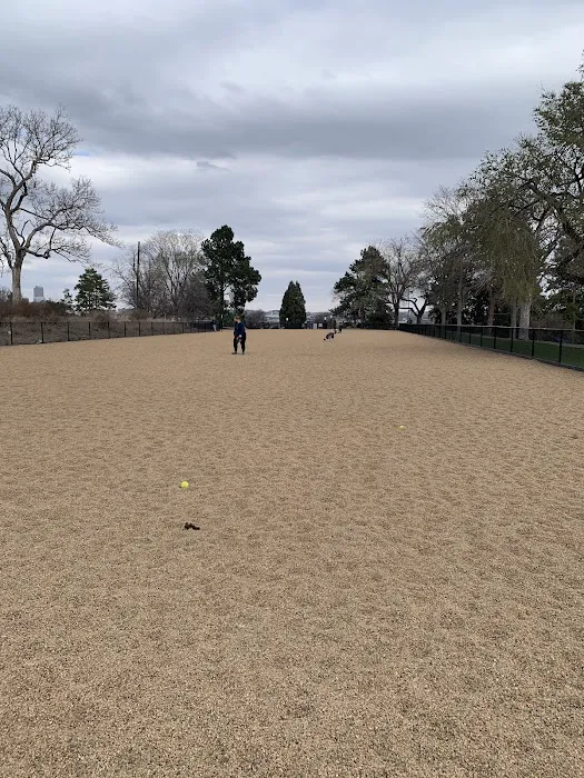 Barnum Dog Park 10