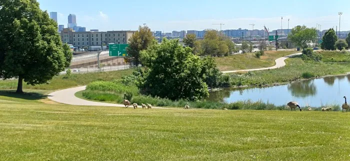 Barnum Dog Park 2