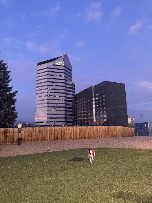 Mint Urban Dog Park 1