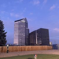 Mint Urban Dog Park ico
