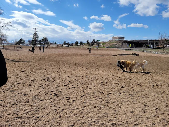 Berkeley Dog Park 1