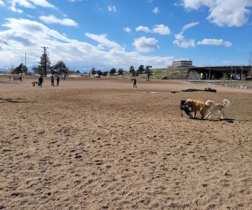 Berkeley Dog Park