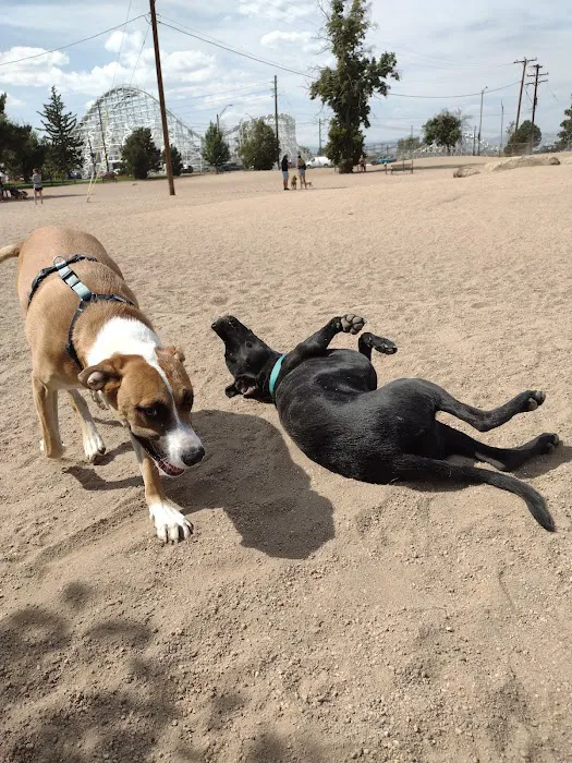 Berkeley Dog Park 10