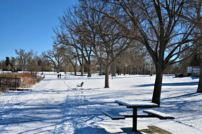 Berkeley Dog Park 6