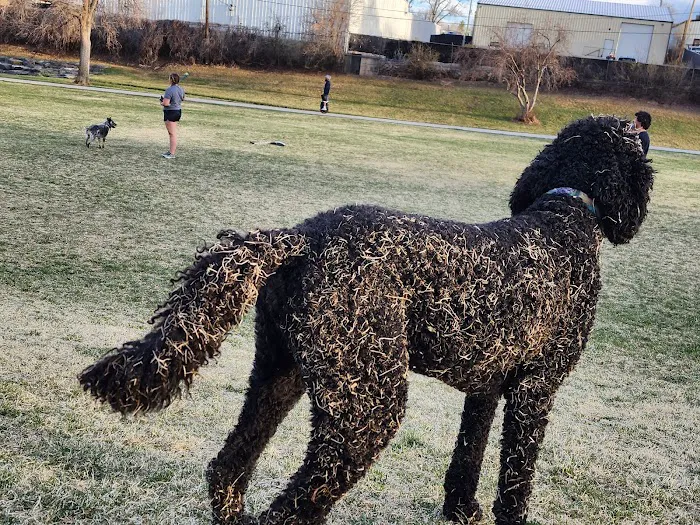Northwest Greenbelt Off-Leash Dog Park 8