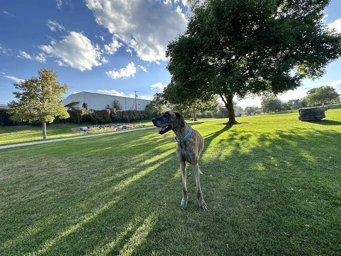 Northwest Greenbelt Off-Leash Dog Park 7