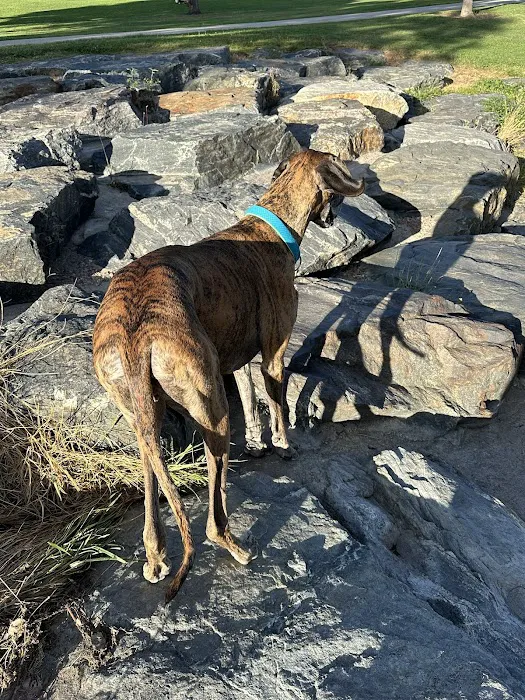Northwest Greenbelt Off-Leash Dog Park 4
