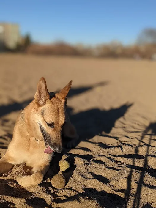 Greenway Off Leash Dog Park 3