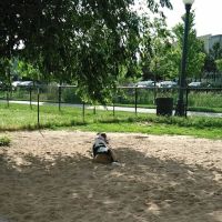 Greenway Off Leash Dog Park ico