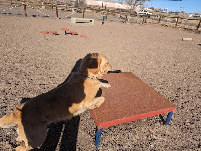 Little Dry Creek Dog Park 5