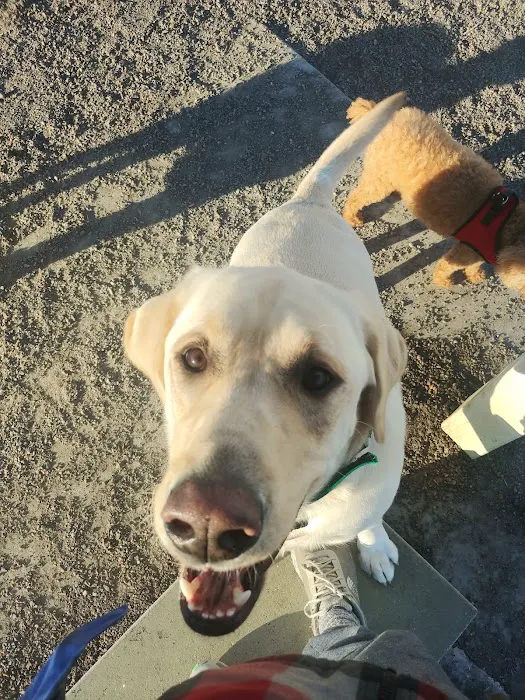 Little Dry Creek Dog Park 7