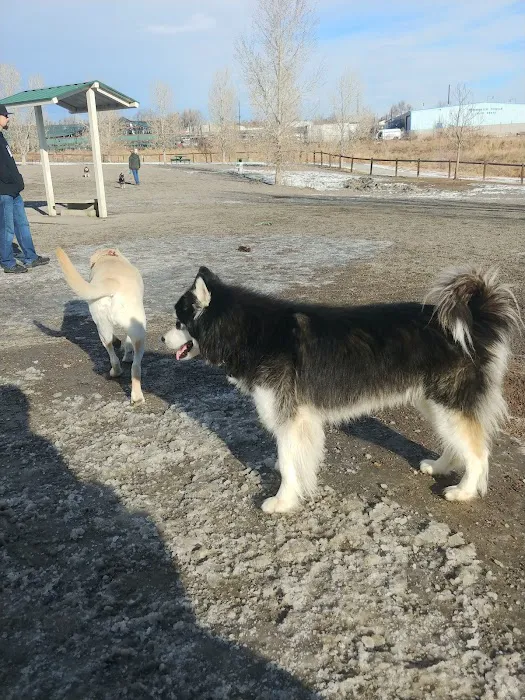 Little Dry Creek Dog Park 10