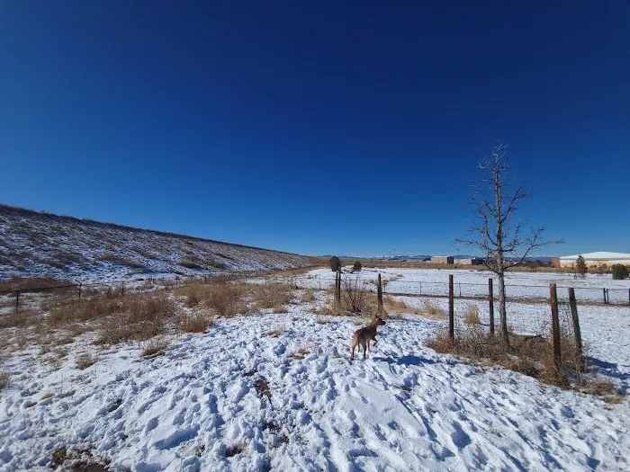 Lowry Dog Park 5