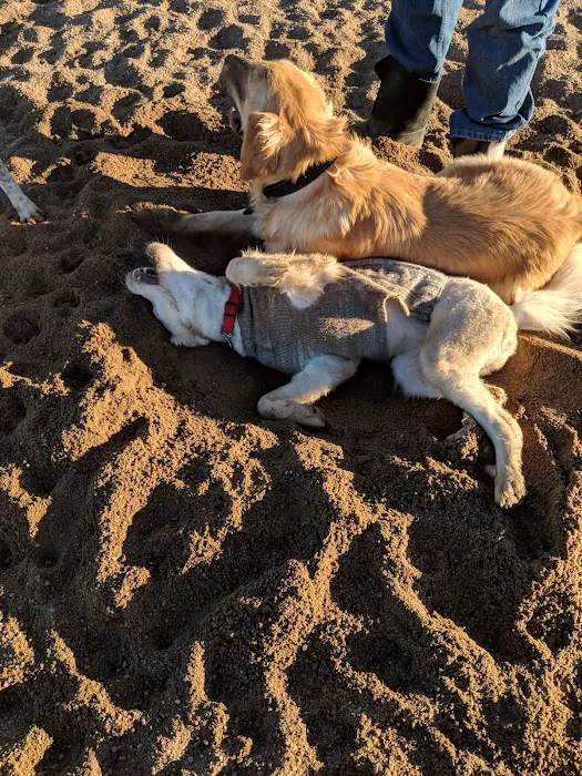 Lowry Dog Park 9