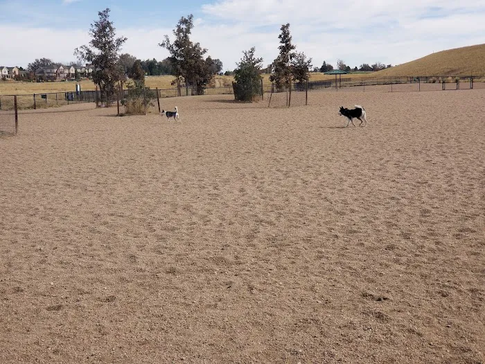 Lowry Dog Park 10