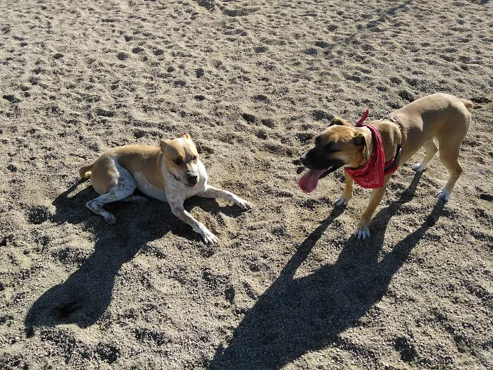Lowry Dog Park 8
