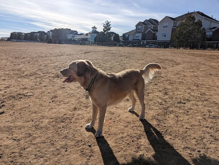 Kennedy Dog Park 4