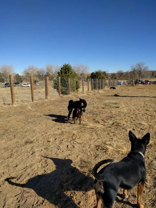 Kennedy Dog Park 9