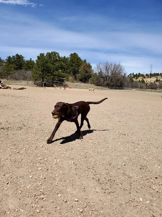 Kennedy Dog Park 3
