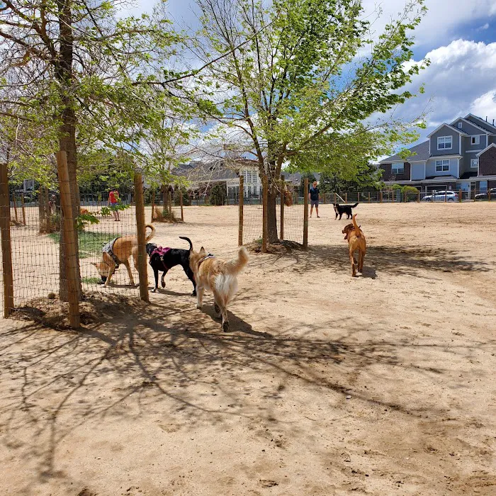 Kennedy Dog Park 8