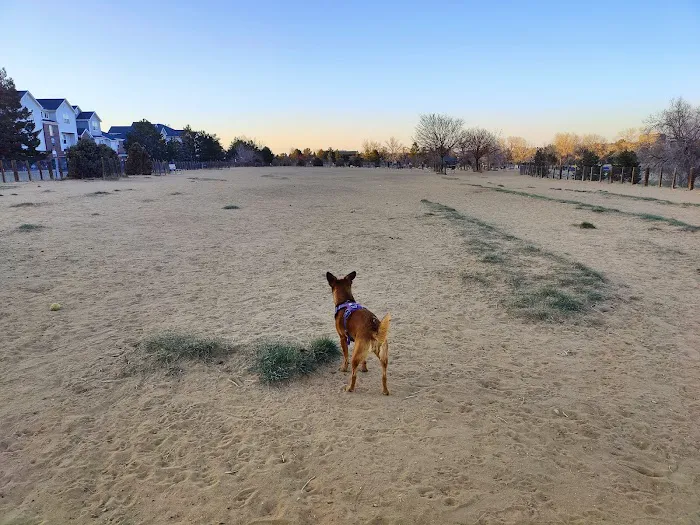 Kennedy Dog Park 5
