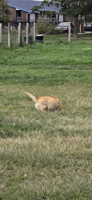 Fruitdale Dog Park 8