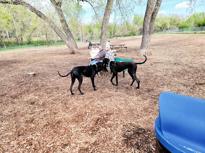 Englewood Canine Corral 3