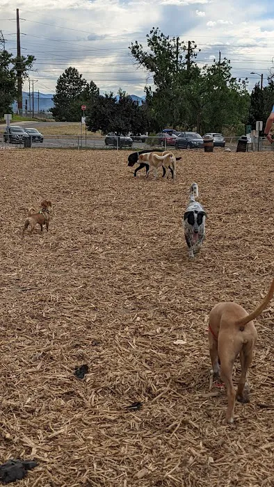 Englewood Canine Corral 5