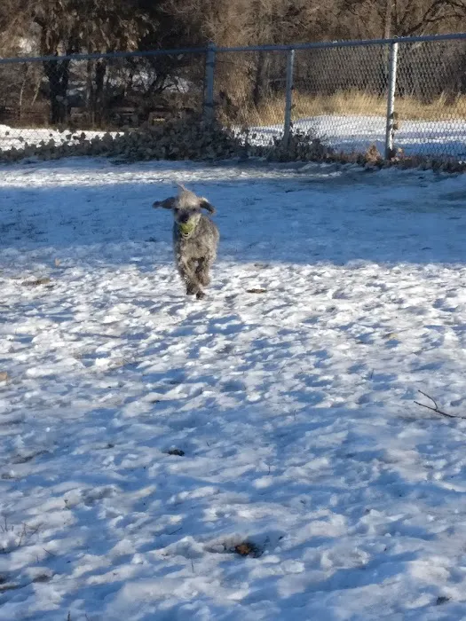Englewood Canine Corral 4