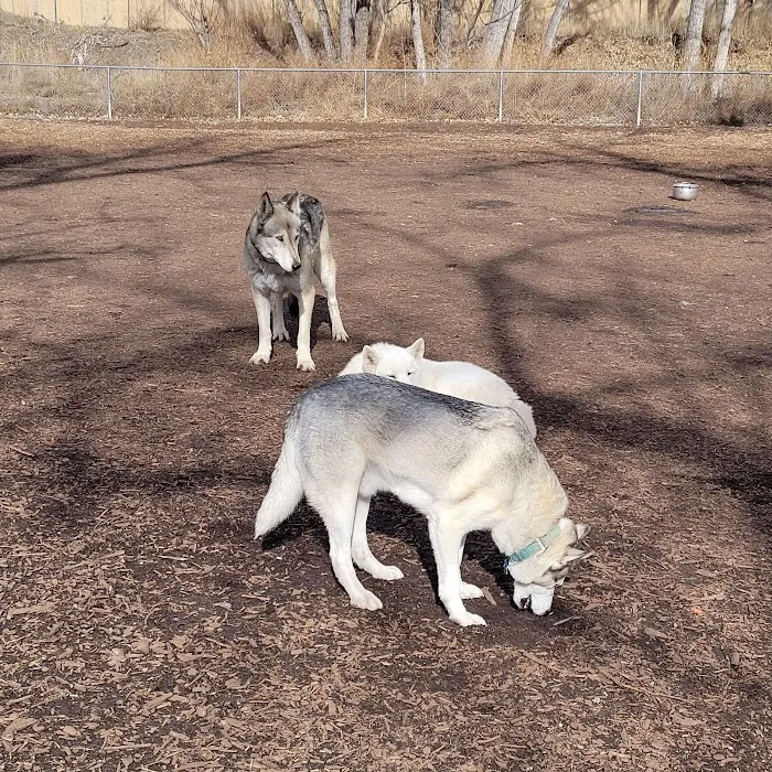 Englewood Canine Corral 9